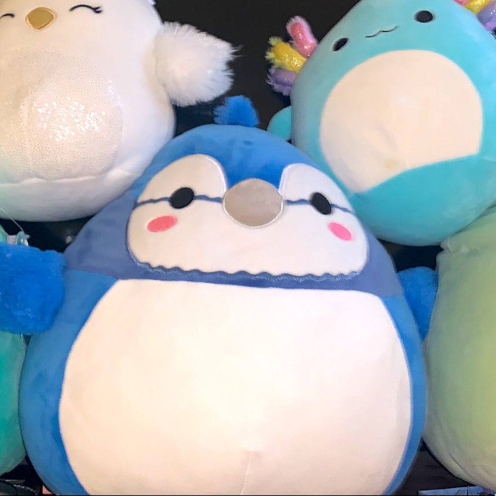 Babs squishmallow Rare bnwt bluejay 12”